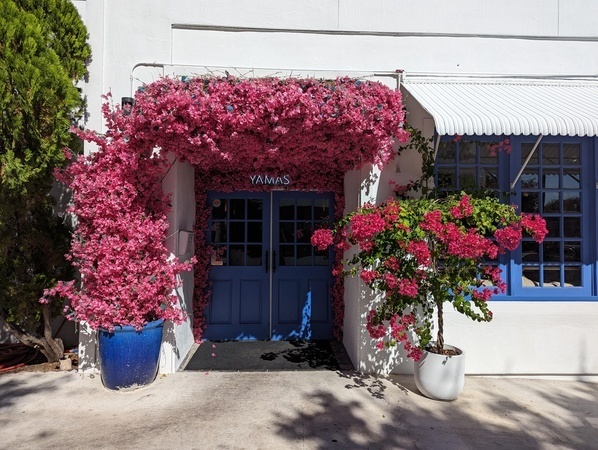 Yamas Greek Restaurant  gallery image 1
