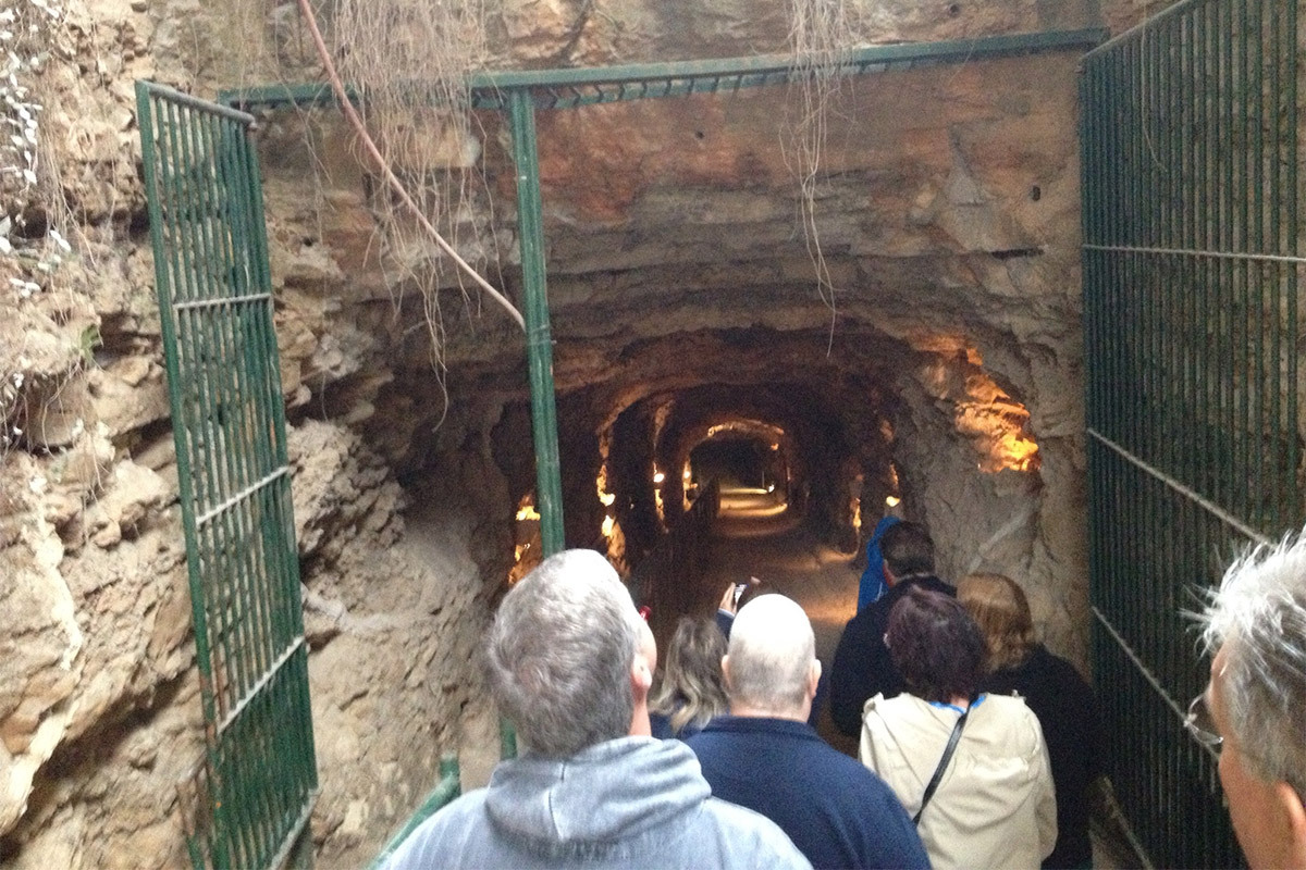 Inner Space Cavern Tours gallery image 11