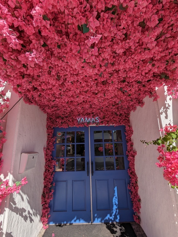 Yamas Greek Restaurant  gallery image 4
