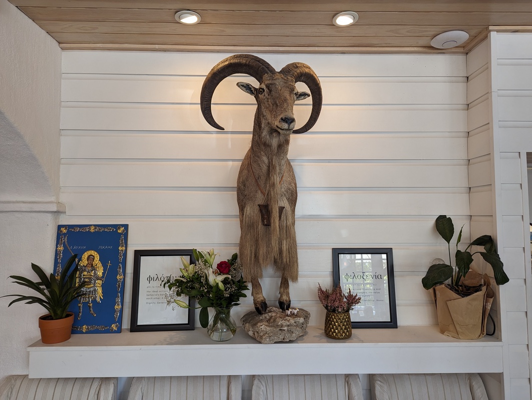 Yamas Greek Restaurant  gallery image 10