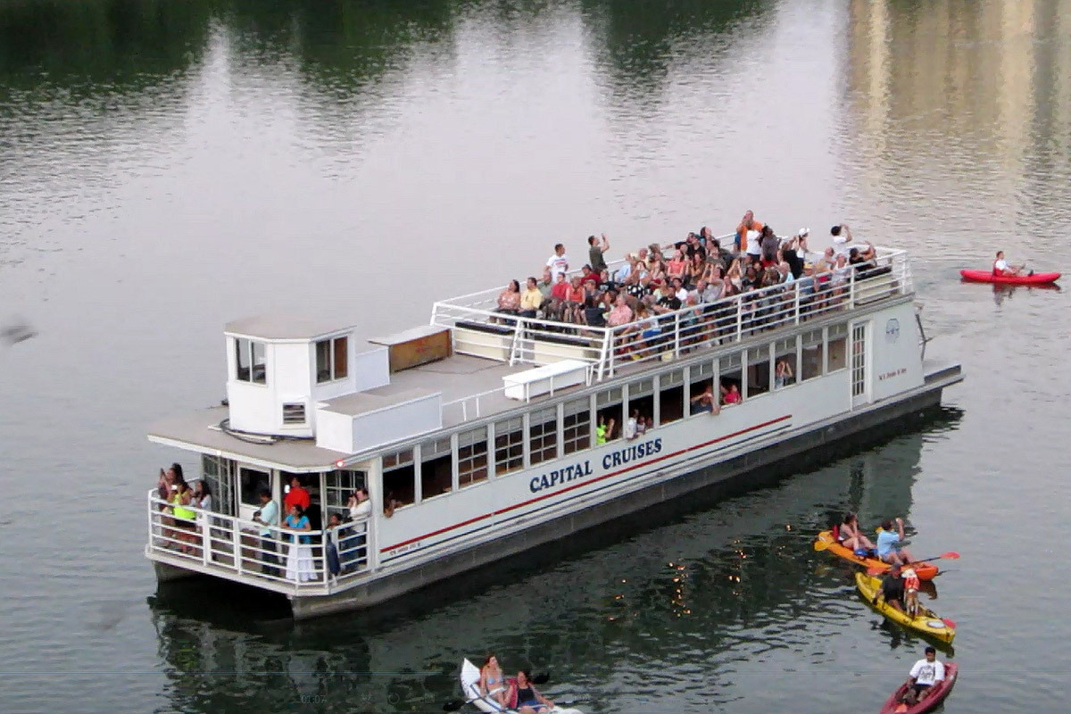 Capital Cruises Bat Watching and Sightseeing Tours gallery image 1