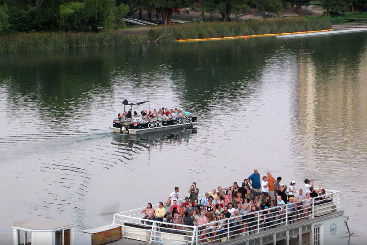 Capital Cruises Bat Watching and Sightseeing Tours gallery image 4