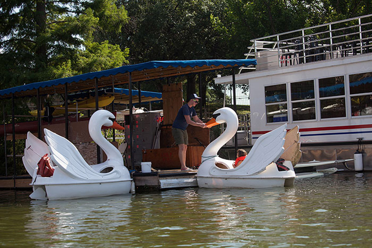 Capital Cruises Bat Watching and Sightseeing Tours gallery image 16