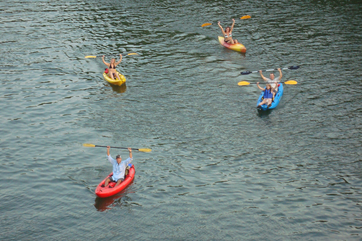 Live Love Paddle Kayak Tours gallery image 12
