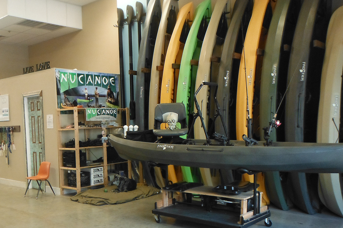 Live Love Paddle Kayak Tours gallery image 15
