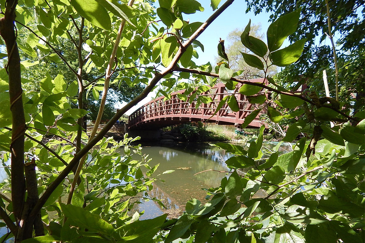 Lady Bird Lake Hike and Bike Trail gallery image 8