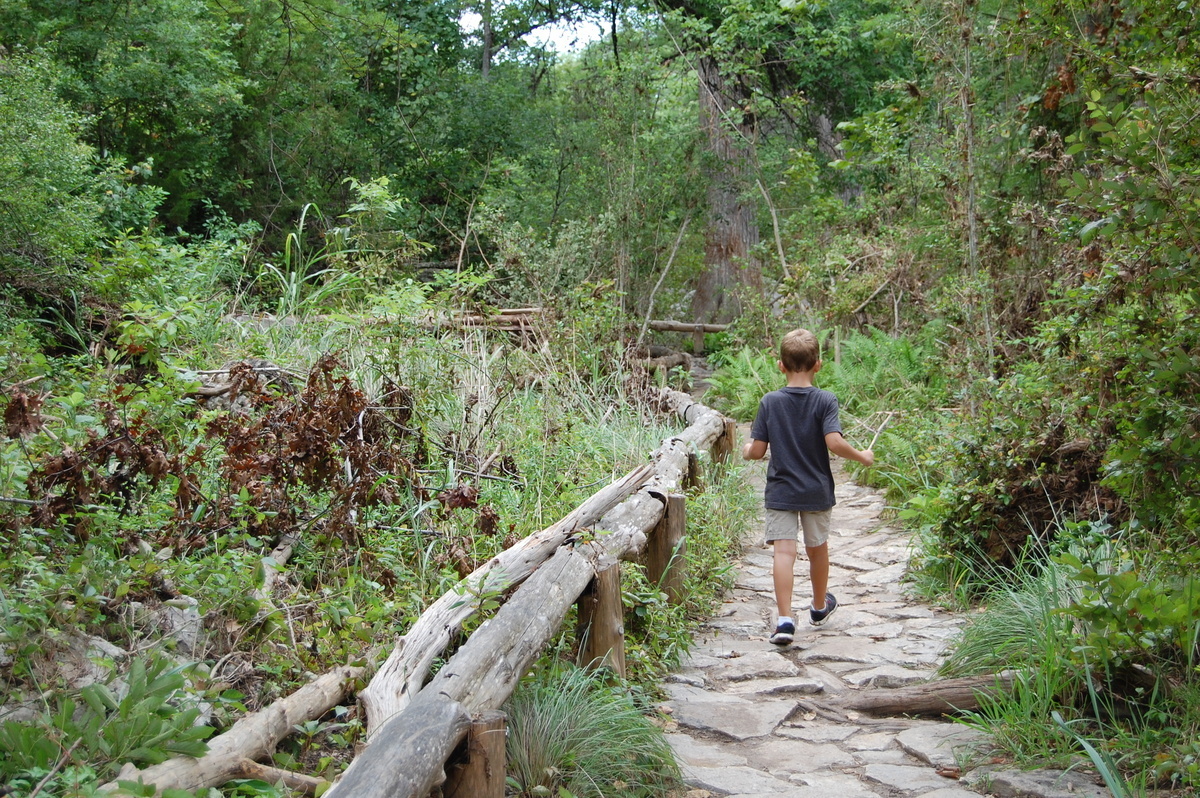 Hamilton Pool gallery image 4