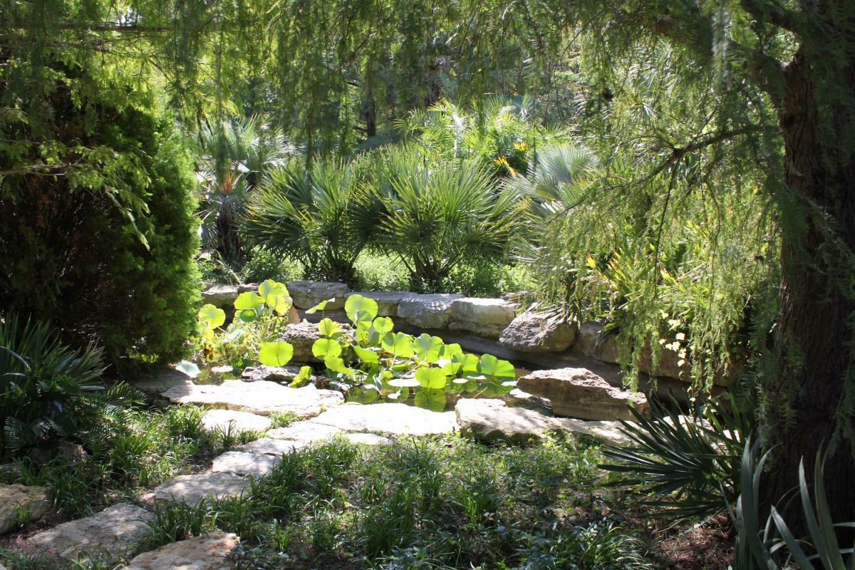 Zilker Botanical Garden gallery image 1