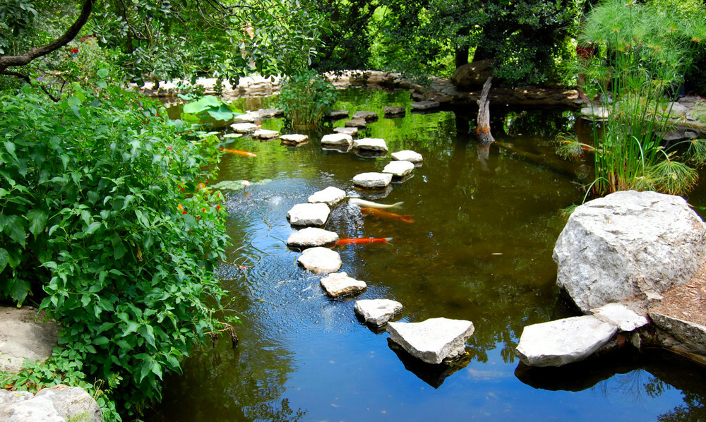 Zilker Botanical Garden gallery image 2
