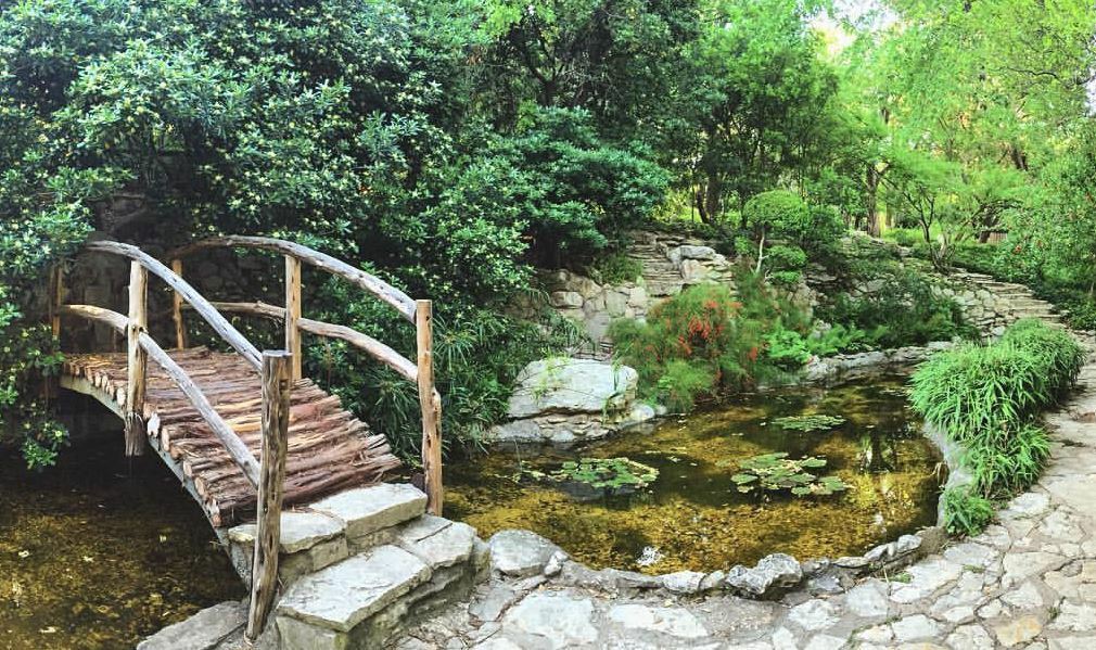 Zilker Botanical Garden gallery image 3