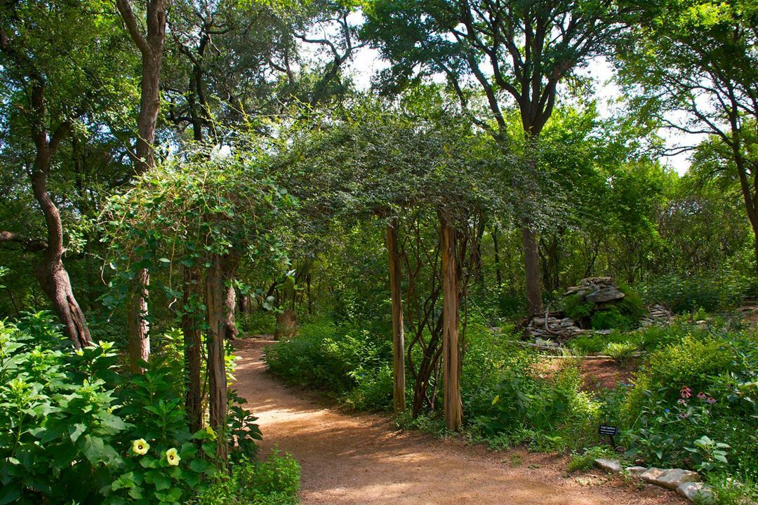 Zilker Botanical Garden gallery image 5