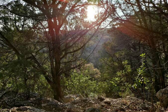 Turkey Creek Off Leash Trail gallery image 1