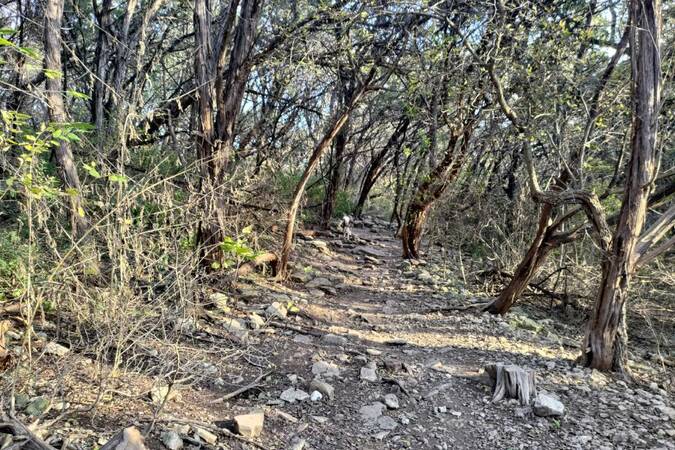 Turkey Creek Off Leash Trail gallery image 4