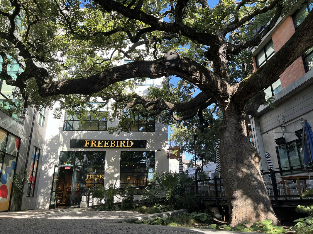 South Congress Avenue Shopping gallery image 7