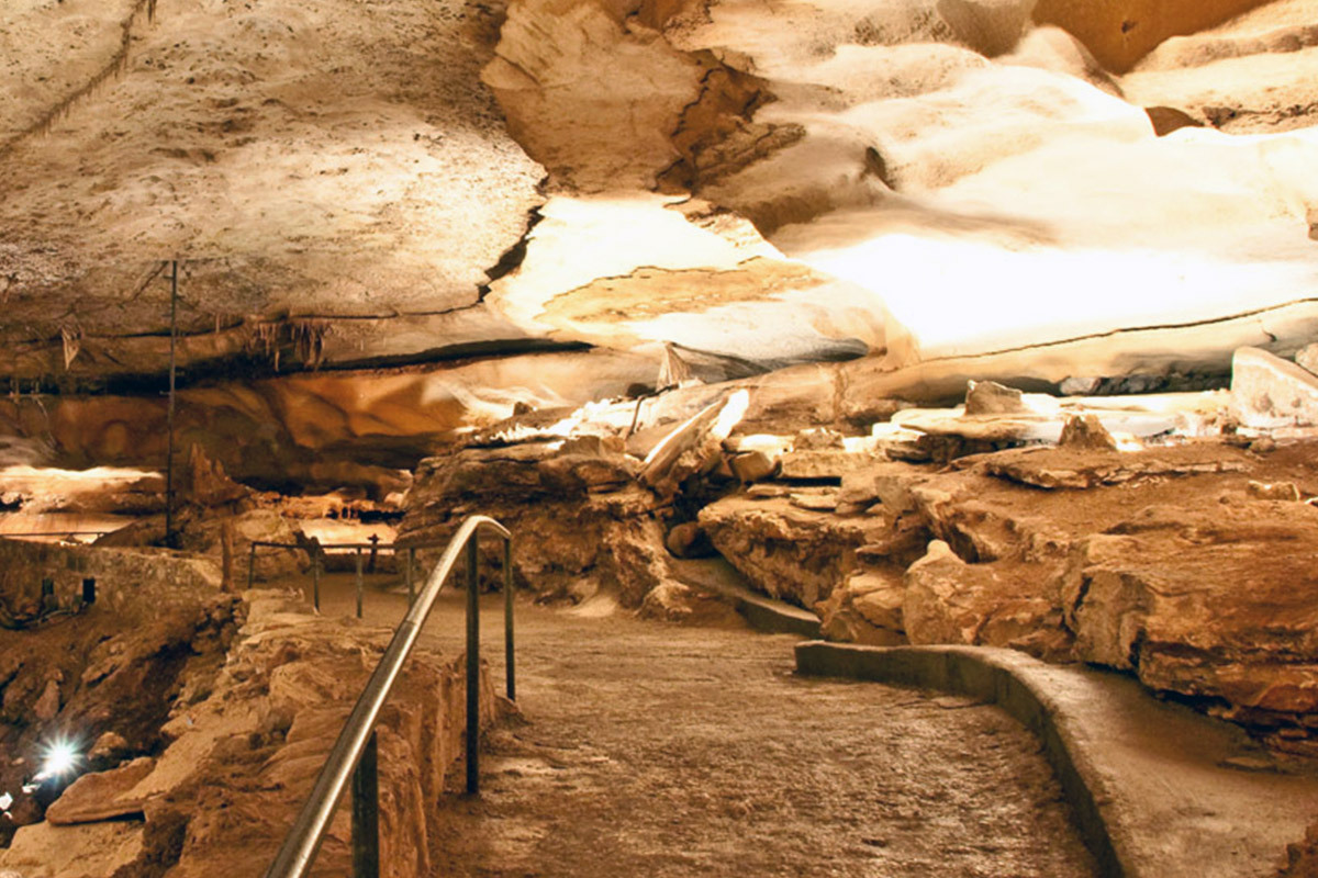 Inner Space Cavern Tours gallery image 2