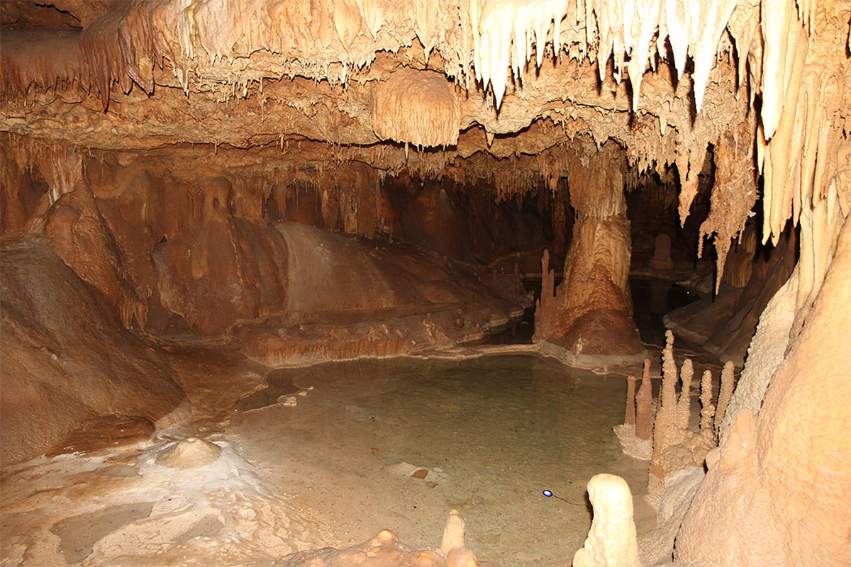 Inner Space Cavern Tours gallery image 6