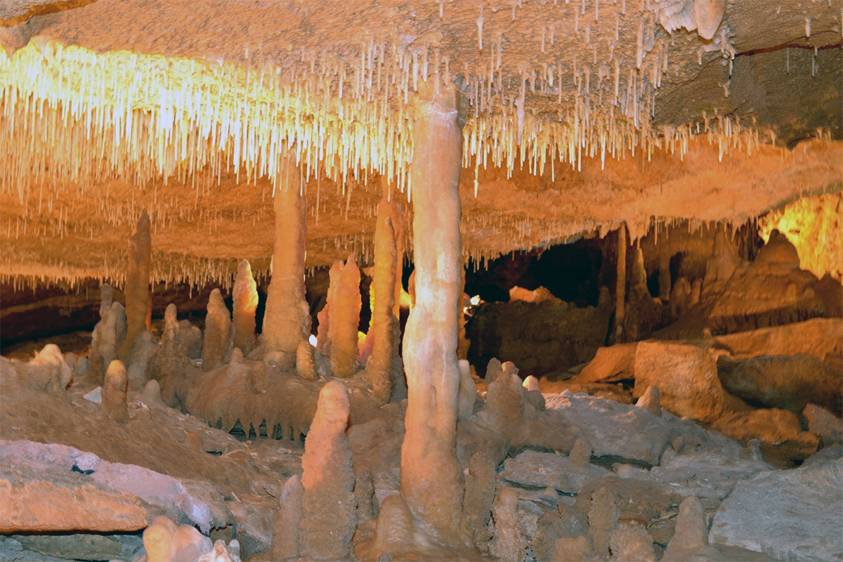 Inner Space Cavern Tours gallery image 8